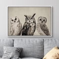 thumbnail image 2 of PixonSign Framed Canvas Print Wall Art Duotone Owl Portraits Vintage Antique Farmhouse Decor Nature Animals Modern Art Realism Cozy Decorative Colorful Multicolor - 24"x36" White, 2 of 5