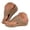 Brown, variant on Pandaie Orthopedic Sandals for Women 2026 Open Toe Wedge Platform Sandal Arch Support Wide Width Flip Flops for Summer Beach Vacation Black 6.5