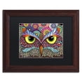 thumbnail image 2 of Trademark Fine Art "Owl Face" Canvas Art by Hello Angel, Black Matte, Wood Frame, 2 of 4