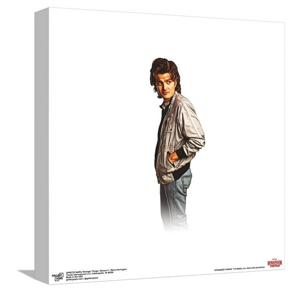 Gallery Pops Netflix Stranger Things: Season 4 - Steve Harrington Canvas Wall Art, Unframed Version, 12" x 12"