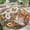 Cat12, variant on Round Area Rug, Gingerbread Man Non-Slip Floor Mat, Soft Washable Carpet for Living Room Bedroom Decor 24 Inch
