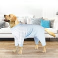 Dog Clothes Autumn And Winter Dog Double Four Legged All Inclusive Home