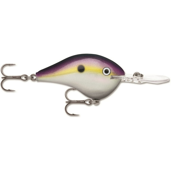 Rapala DT 14 Crankbait Big Shad