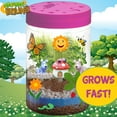 thumbnail image 6 of Nature Bound: Light-Up Terrarium Kit - Pink - Miniature Grow Garden Jar Set, Built-In LED, Just Add Water, Animal Theme, STEM Learning Toy, Kids 5+, 6 of 9