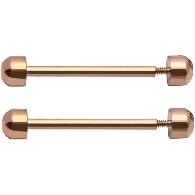 HUGFEGWE 2Pcs Watch Strap Screw Tube Rods Friction Pin Clasp Bracelet Fixng Part for Wristwatch Repair Accessory 16/18/20/22mm Universal Watch Screw Tube Rod 16/18/20/22 Mm Watch Strap Screw Pin