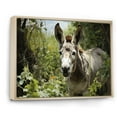 thumbnail image 2 of Designart "Gentle Companion Grey Donkey in Pastoral" Animals Floater Framed Wall Art Print, 2 of 7