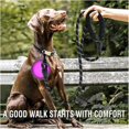 thumbnail image 5 of Strong Dog Lead Pet Leads Reflective Lead for Large Small Medium Dogs Lead Drag Pull Tow Golden Retriever Dog Accessories Blue 0.8cm 1.5M, 5 of 5