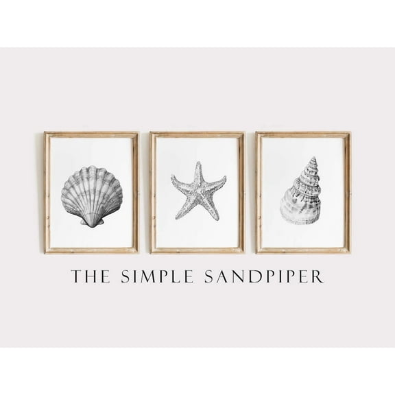 Luvia Black & White Beach Decor Prints, Seashell And Starfish Set Of 3, Coastal Boho, Modern Wall Decor Set 3 Prints 8x12 UNFRAMED
