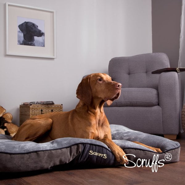 super-soft short pile plush lines the dog be Scruffs Chester Mattress Luxurious 