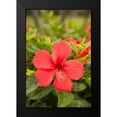 thumbnail image 2 of Millet, Karyn 13x18 Black Modern Framed Museum Art Print Titled - Red Hibisucs, 2 of 5