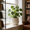 thumbnail image 4 of 3Pcs Modern Ribbed Round Planter, Lightweight MGO Flower Pots with Drainage Holes, for Indoor Outdoor Use, 9" +13.38" +17.1", 4 of 9
