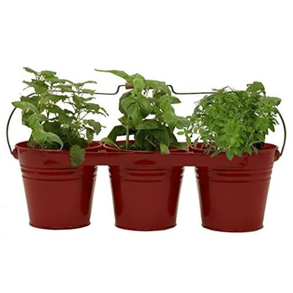 Houston International Trading 8333E XR Enameled Galvanized Triple Planter with Wood Handle for 6.5 Pots, Red