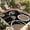 Brown, variant on Black Red Outdoor Rug for Patio/Deck/Porch, Non-Slip Large Area Rug 5 x 8 Ft, White Circle Geometric Abstract Texture Indoor Outdoor Rugs Washable Area Rugs, Reversible Camping Rug Carpet Runner