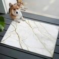 thumbnail image 3 of 2x3 Ft Entryway Area Rug, White Gold Marble Kitchen Rug Runner Washable Floor Mat, Modern Farmhouse Abstract Patterned Non Slip Indoor Door Mat Throw Carpet for Bathroom Living Room Bedroom, 3 of 8