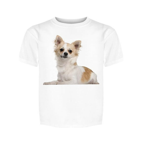 Chihuahua: Sitting And Staring Tee Girl's -Image by Shutterstock