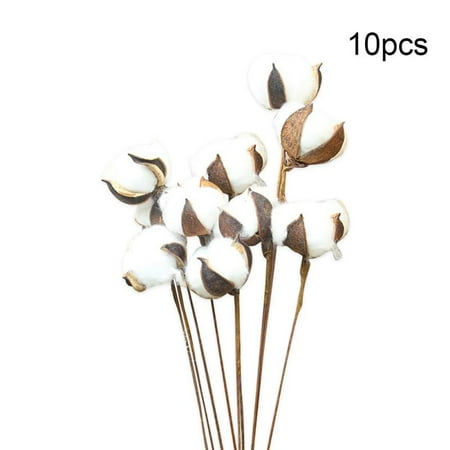 Antique White Twigs - 10Pack Really Natural White Cotton Stems Dried Flower Branch for Farmhouse Style Antique Floral Furniture Wedding Decoration (Cotton Stems)