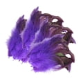 thumbnail image 2 of Abbraccia 50x Feathers for Crafts Colors Feather Handicraft Accessories Decorative Feathers for Holidays Hats Costumes Wedding Cosplay, 2 of 10