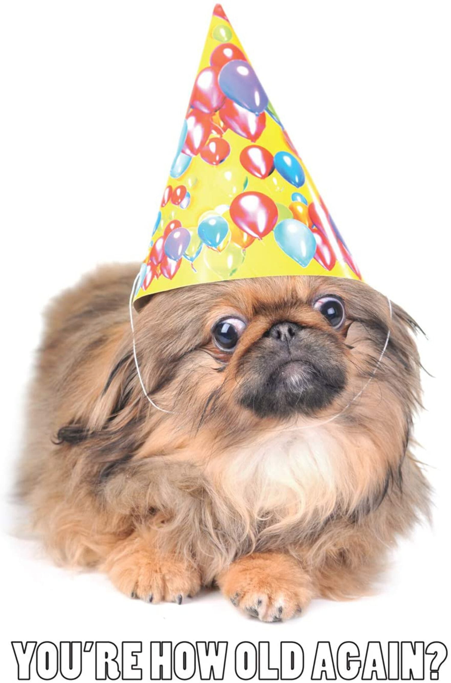 Birthday Card 12-pack Box Set -- 3 Cards Per Design