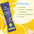 Probiomlyte Probiotic Hydration Amplifier. Electrolytes + Key Vitamins
