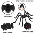 thumbnail image 4 of Decoraciones de Halloween QPMR, 2 unidades, 150 cm, arañas gigantes negras, 4 of 6