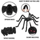 thumbnail image 4 of Decoraciones de Halloween QPMR, 2 unidades, 150 cm, arañas gigantes negras, 4 of 6