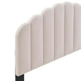 thumbnail image 3 of Modway Veronique King/California King Performance Velvet Headboard in Pink, 3 of 9