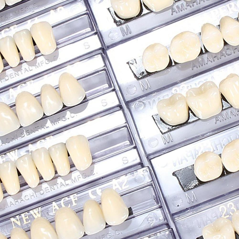 Dental Acrylic Resin Denture Multi-colored Synthetic Teeth False I5W6
