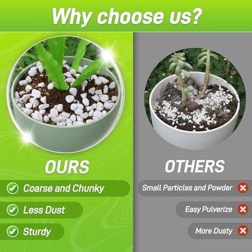 9 Quarts Chunky Perlite for Plant Soil Amendment for Potting Soil, Improves Drainage and Aeration for Soil, Ideal for Succulents, Orchid, Flower Plants (1/4 inch)