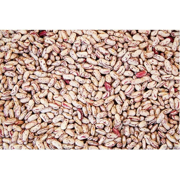 Commodity Beans (Price/Pack)Commodity Triple Clean Pinto Bean 50 Pounds Per Pack - 1 Per Case
