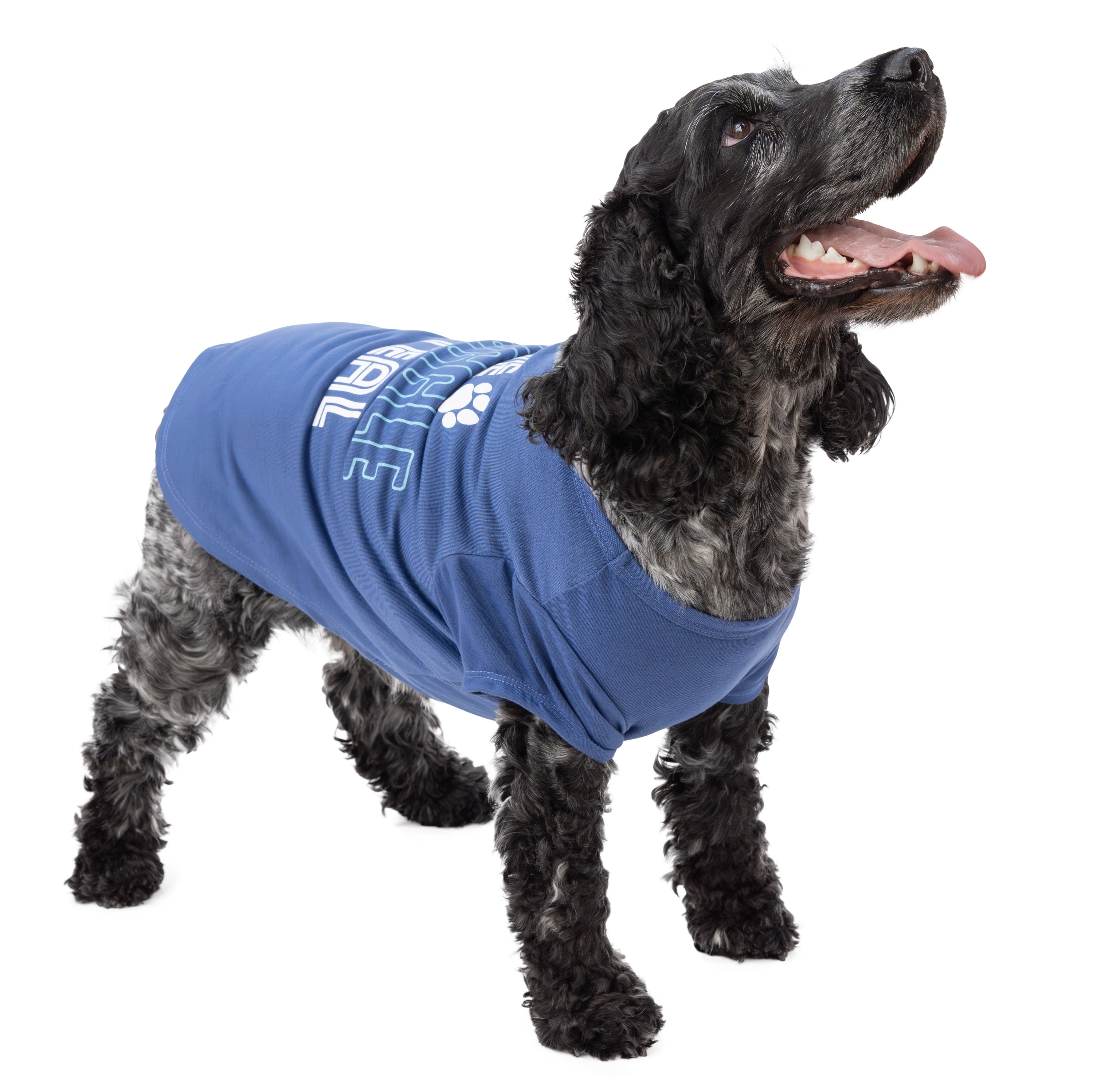Vibrant Life The Snuggle Is Real Dog T-Shirt, Blue, Medium