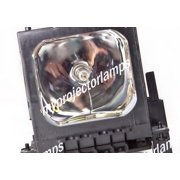 Proxima DP-8400X Projector Lamp with Module