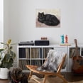 thumbnail image 4 of Art.com Black Persian Cat Stretched Canvas Print Wall Art, 32" x 24", 4 of 4