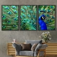thumbnail image 2 of wall26 - 3 Piece Framed Canvas Wall Art - Male Peacock Displaying His Colorful Feathers - Modern Home Art Stretched and Framed Ready to Hang - 16"x24"x3 BLACK, 2 of 5