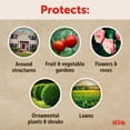thumbnail image 5 of Sevin Ready-to-Use Insect Killer Power Sprayer, 1.33 Gallon, 5 of 16