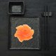 thumbnail image 3 of Artificial Salmon Model Simulation Salmon Slices for Photo Use 2Pcs, 3 of 5