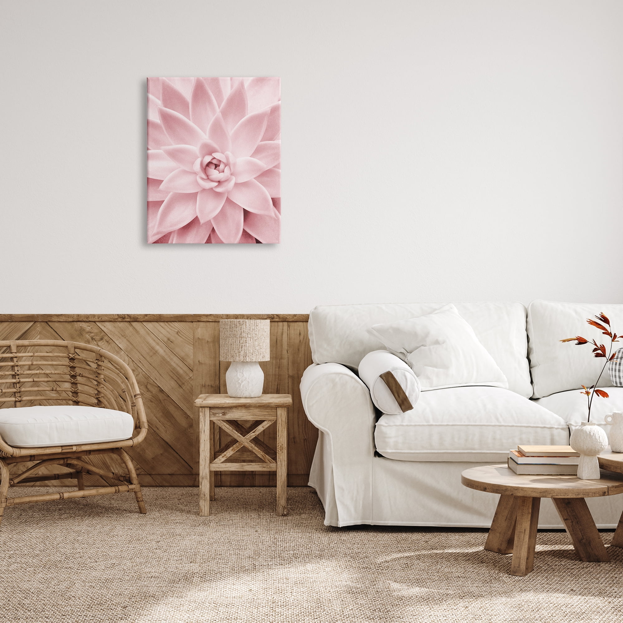 Stupell Industries Pastel Pink Succulent Botanical & Floral Photography Gallery Wrapped Canvas Print Wall Art, 24 x 30