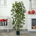 thumbnail image 7 of 6' Bamboo Silk Tree, Green Trunks, 7 of 7