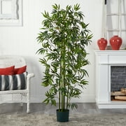 6 Bamboo Silk Tree, Green Trunks