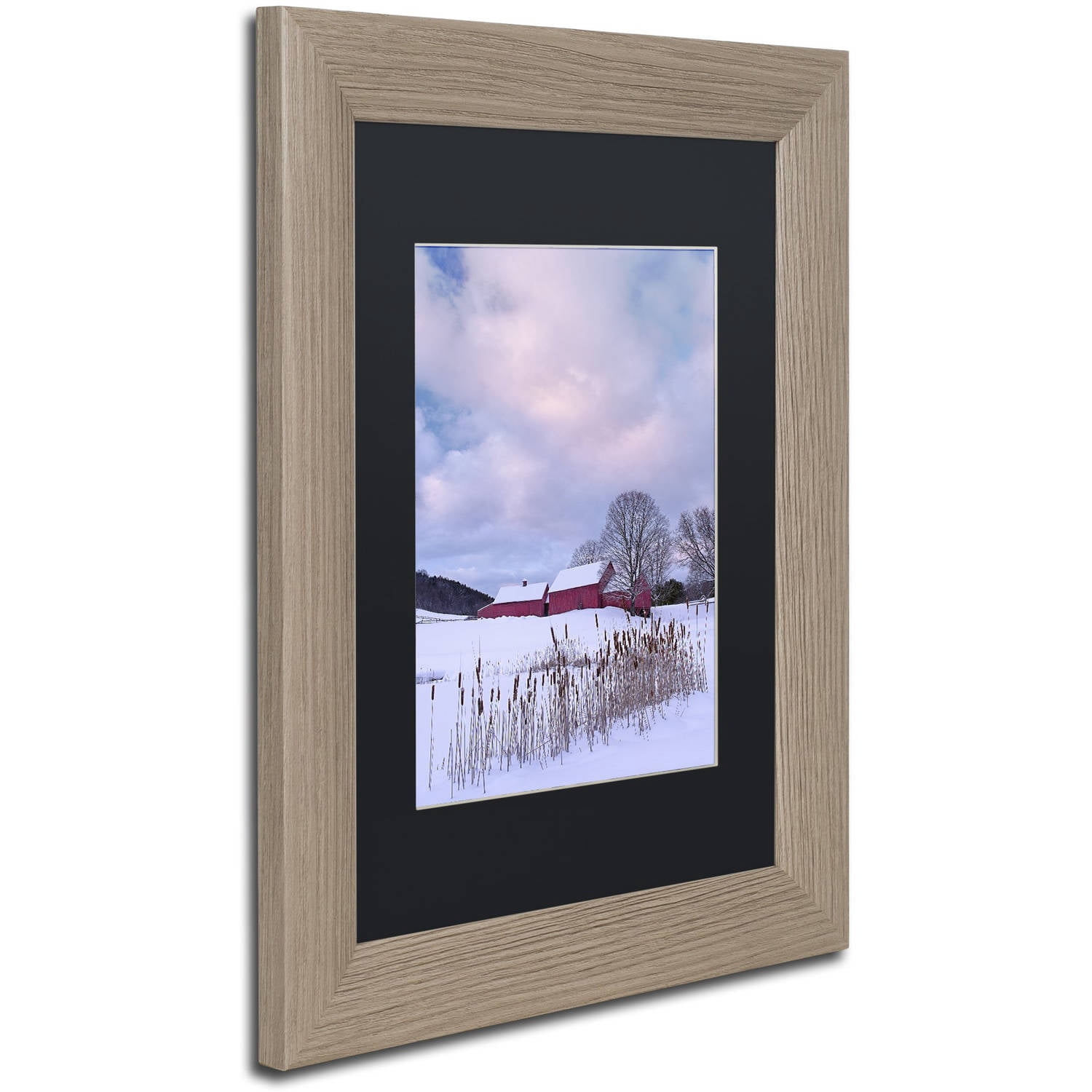 Trademark Fine Art "Cat O'Nine In Snow" Canvas Art by Michael Blanchette Photography Black Matte, Birch Frame