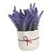 thumbnail image 5 of Maceta de flores BLESIY Bonsái en maceta de lavanda para oficina de Cocina de hotel Estilo A, 5 of 8