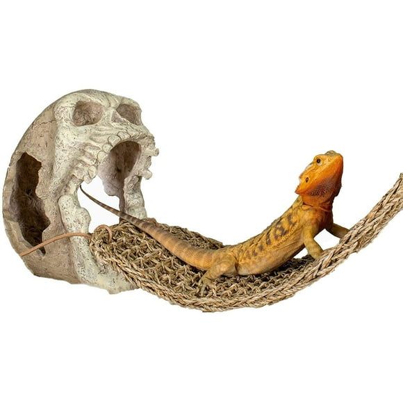 Penn Plax Skull Hide-Away Reptile Decor