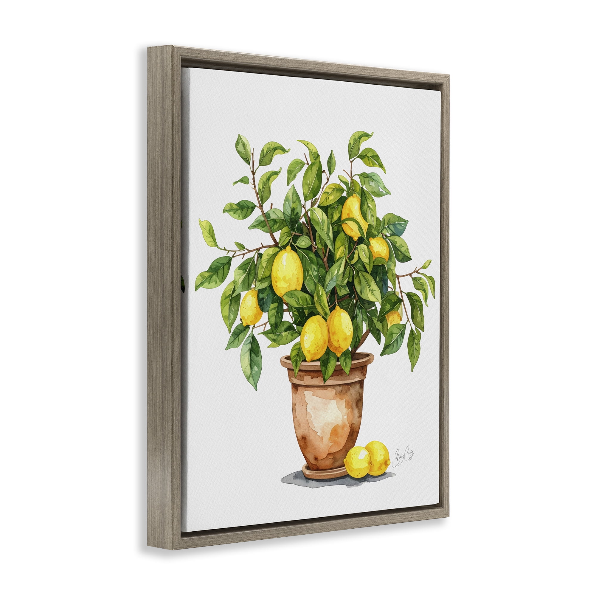 Stupell Industries Potted Lemon Tree Brown Framed Floater Canvas Wall Art, design by Shelly Craig