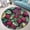 Christmas Mulberry 1, variant on Circle Area Rug, Art Nouveau Wolf Couple 4 Washable Non-Slip Floor Carpet, Soft Rug for Living Room Bedroom Decor 39 Inch