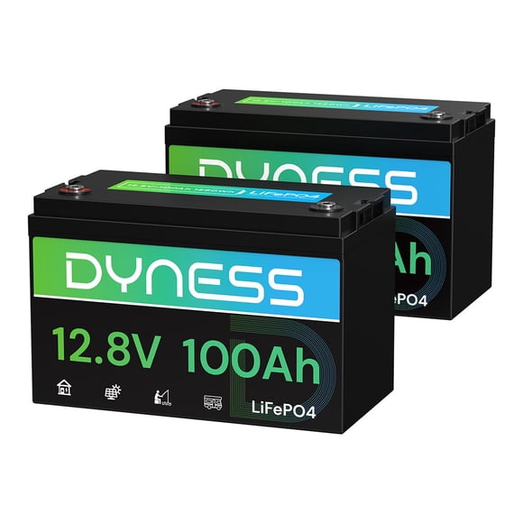 Batería Dyness 12V 100Ah LiFePO4, paquete de 2, BMS para RV y solar