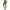 Mint Green, variant on CFLVAEK Casual Yoga Pants for Women Comfy High Waisted Tummy Control Leggings Solid Color Gym Fitness Pants Butt Lifting Workout Leggings Pants Blue XXL