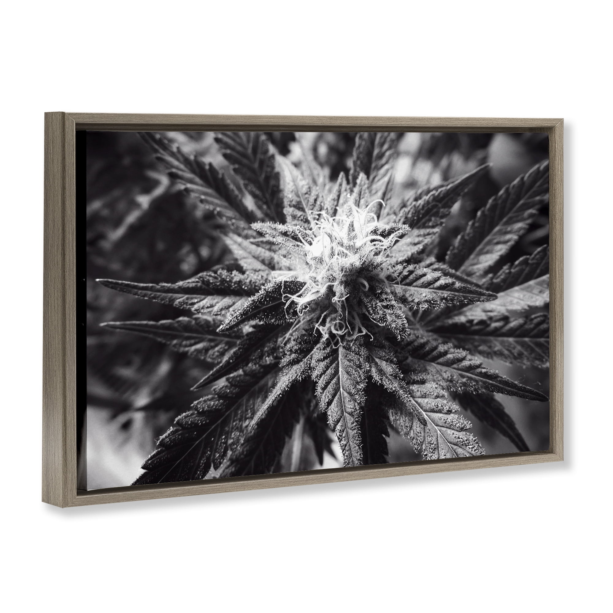 Stupell Industries Dark Cannabis Flower Plants & Flowers Painting Brown Floater Framed Canvas Art Print Wall Art, 25 x 17