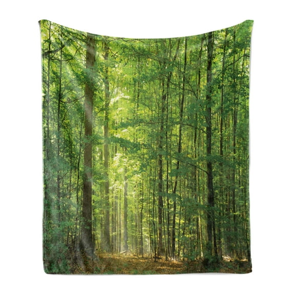 Woodland Soft Flannel Fleece Throw Blanket, Deciduous Forest Trees in Summertime Foliage Sun Rays Romantic Holidays Scenic Image, Cozy Plush for Indoor and Outdoor Use, 70" x 90", Green, by Ambesonne