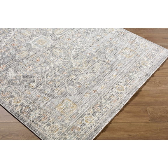 Hauteloom Cinzia Living Room, Bedroom Machine Washable Area Rug - Traditional - Silver Gray, Ivory, Charcoal - 5'3" x 7'