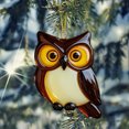 thumbnail image 6 of 2D Flat Bird Christmas Ornament - Acrylic Winter Bird Pendant, Print Break-Proof Tree Tags Cute Stocking Stuffer for Bird Lovers, 6 of 7