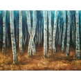 thumbnail image 2 of Johnson, Walt 24x19 Black Ornate Wood Framed with Double Matting Museum Art Print Titled - Moonlit Birchwood, 2 of 4